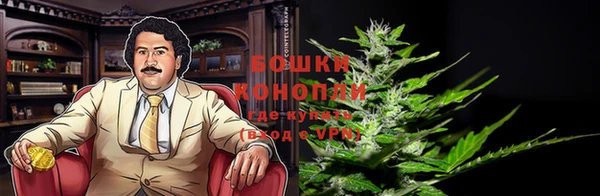 МДПВ Бронницы
