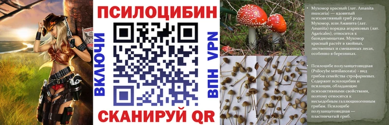 Галлюциногенные грибы Magic Shrooms  что такое   Туран 